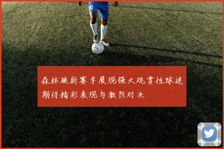 森林狼新赛季展现强大观赏性球迷期待精彩表现与激烈对决