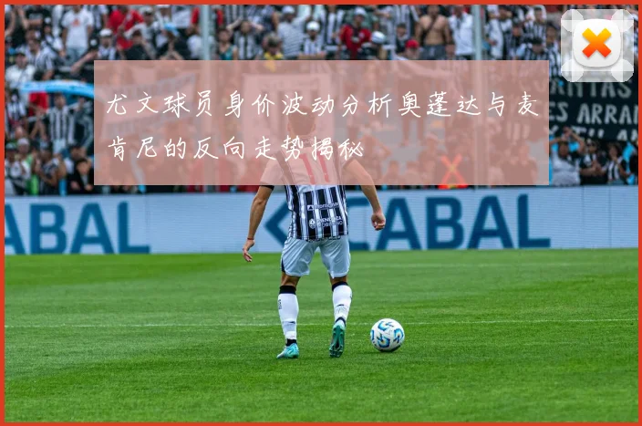 尤文球员身价波动分析奥蓬达与麦肯尼的反向走势揭秘